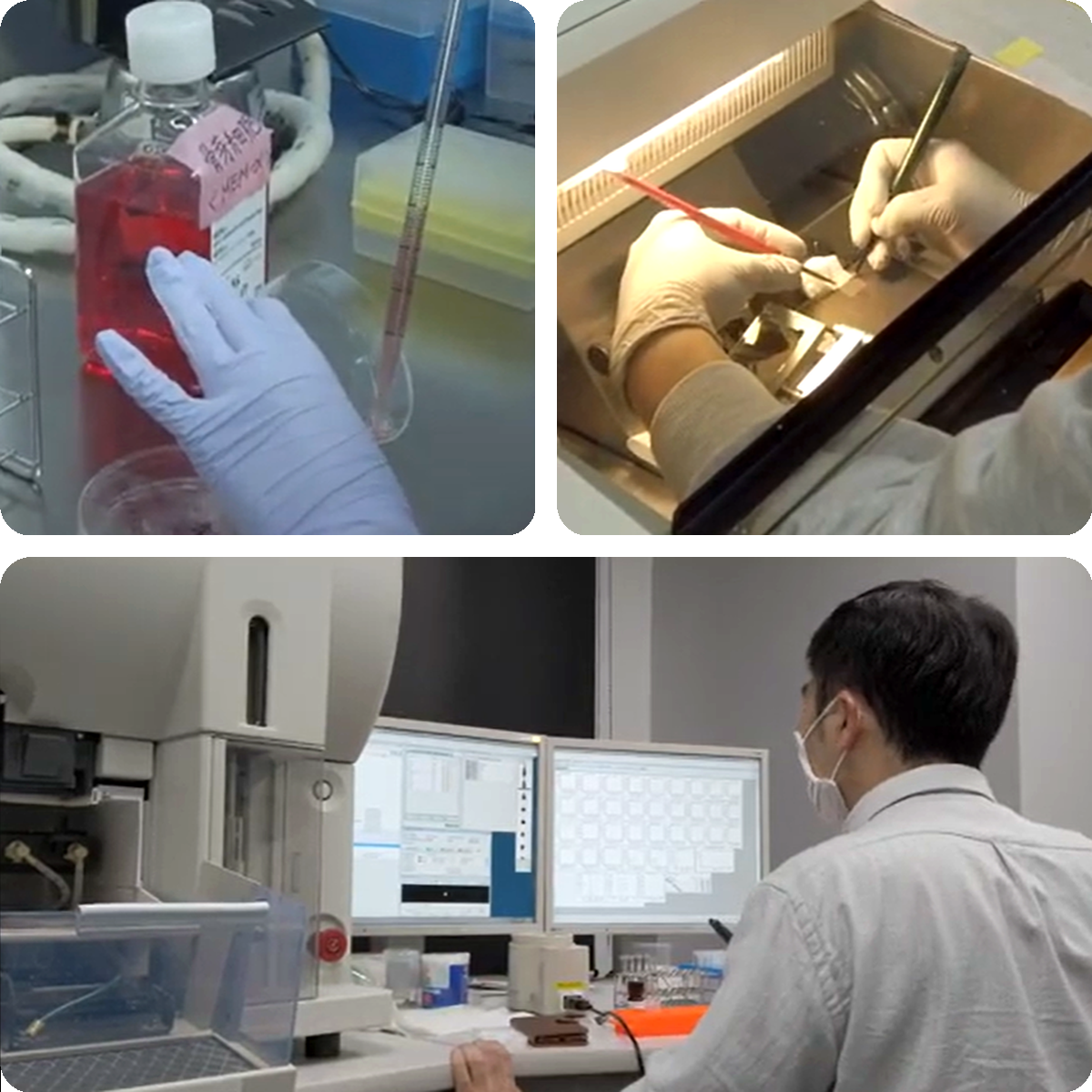 実験風景（FACS・培養・クライオスタット）