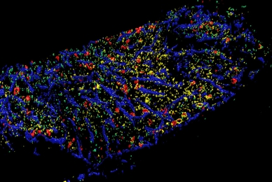 研究室イメージ