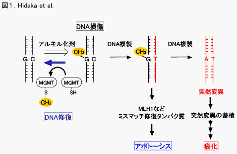 九州大学大学院医学研究院